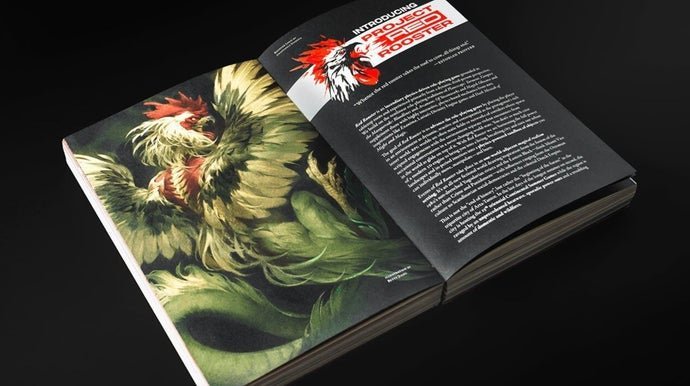 Disco Elysium Devs Unveil Red Rooster, a Physics-Driven RPG
