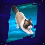 Fancy Ragdoll Sidekick now in Fortnite Item Shop