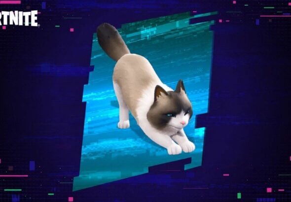 Fancy Ragdoll Sidekick now in Fortnite Item Shop