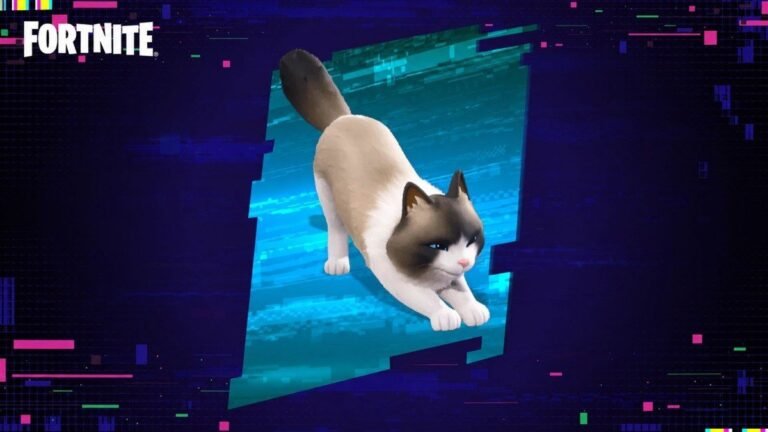 Fancy Ragdoll Sidekick now in Fortnite Item Shop